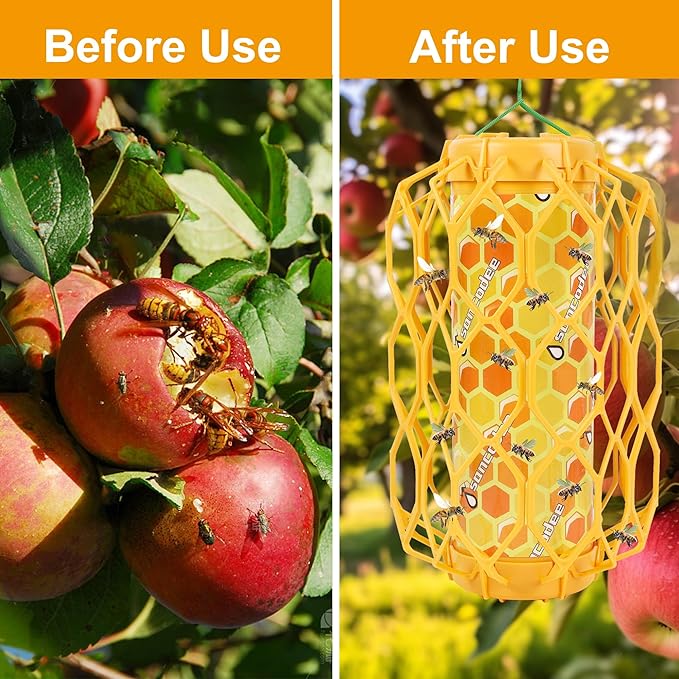 3 Pack Upgraded Wasp Trap Outdoor Hanging, Carpenter Bee and Hornet Catcher, Reusable Yellow Jacket Trap with Bait Reservoir, Bee Killer and Wasp Catcher for Outside (Orange)