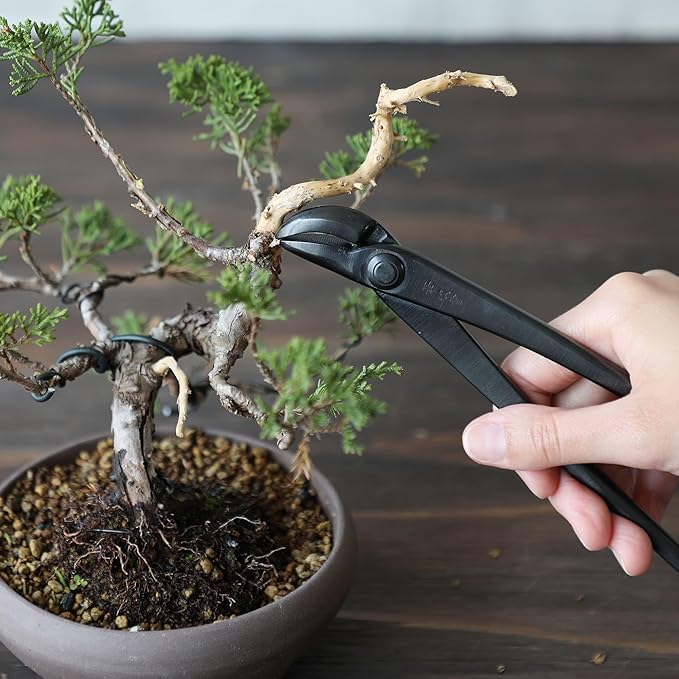 Hand Forged Bent-Tip Bonsai Wire and Jin Pliers 8.66"(220mm)