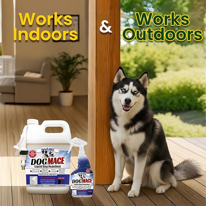 Nature’s MACE Dog Mace Repellent Spray, Keep Dogs Out of Your Lawn and Garden, Training Corrector, Stop Chewing and Digging, Safe Around Kids, Pets, & Plants, 1 Gallon Ready to Use, Treats 3,000 Sq Ft