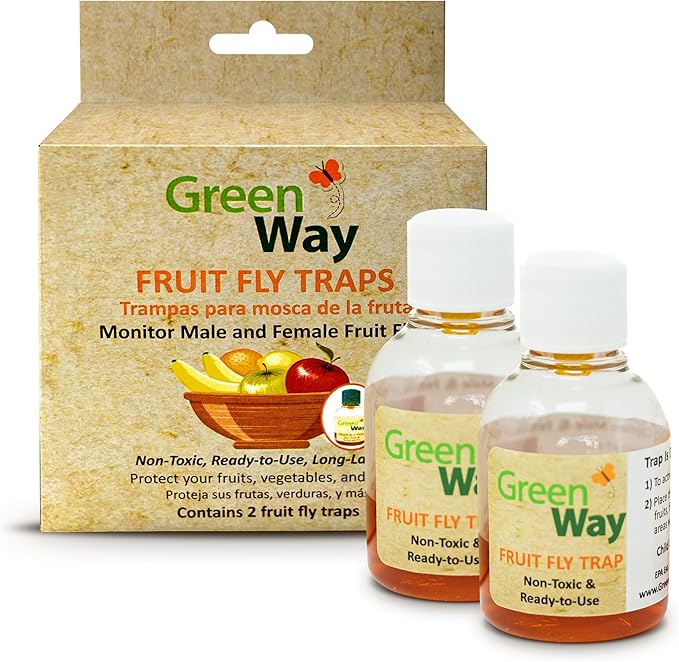 Greenway Traps Fruit Fly Trap, Indoor and Kitchen, Reduced Fruit Fly Infestations, Non-Toxic, Long-Lasting, 2 Packs (Includes 4 Traps)