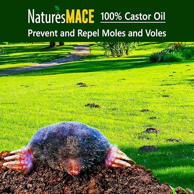 Nature's MACE Mole and Vole Mace, Mole Deterrent for Yard, 1 Gallon, 100% Pure Castor Oil, Lawns, Mole Repellent, Stop Tunneling, Mole Remover Treatment, Castor Oil Repellent, People, Pet, Plant Safe