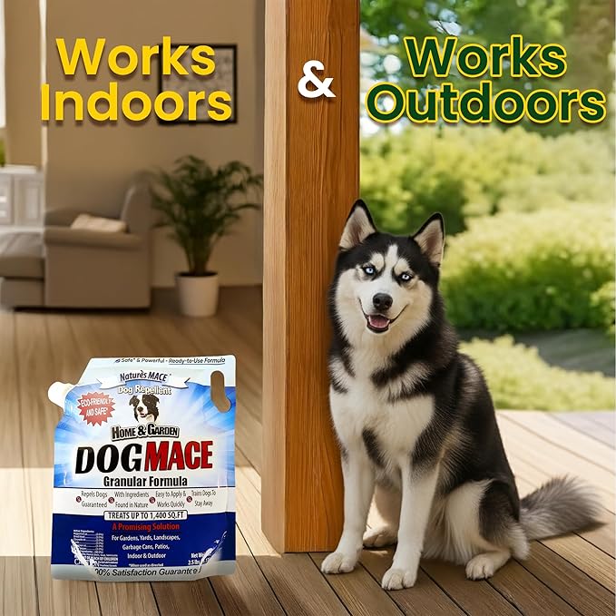 Nature’s MACE Dog MACE Granular Dog Repellent, 2.5 lb – Outdoor Dog Deterrent for Lawn, Yard, Garden, and Plants, Helps Keep Dogs Away from Bushes and Flower Beds, Covers up to 1,400 Sq. Ft.
