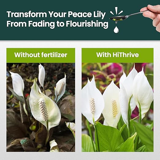 32oz Peace Lily Plant Indoor Live Fertilizer - Makes 192 Gallons of Peace Lily Fertilizer - Nutrient-Rich Liquid Plant Food for Lush Foliage, Stronger Roots, and Elegant White Blooms