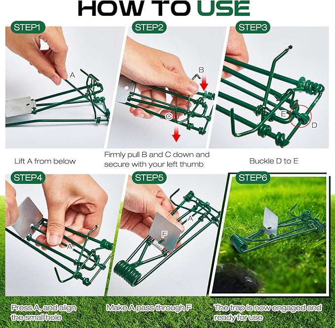 Qualirey 4 Pcs Outdoor Gopher Trap Easy Set Mole Trap Weather Resistant Gopher Killer Vole Killer for Lawn Garden Farm (Green)