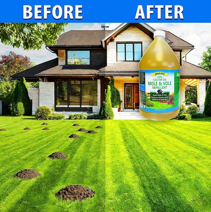 Nature's MACE Mole and Vole Mace, Mole Deterrent for Yard, 32 oz, Pure Castor Oil, Mole Repellent for Lawns, Stop Tunneling, Mole Remover Treatment, Castor Oil Repellent, People, Pet, Plant Safe