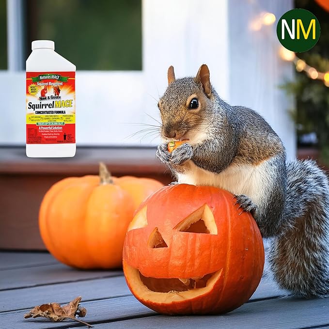 Nature’s MACE Squirrel Mace, Squirrel Repellent Spray, 40 Ounce Concentrate, Squirrel and Chipmunk Repellent, Keep Out of Garden, Attic, Fruit Trees, Plants, Potted Plants, Repel Squirrels