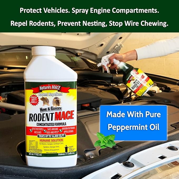 Nature’s MACE Rodent Repellent 40oz Concentrate, Covers 16,800 Sq. Ft.,Repel Mice & Rats, Keep Mice, Rats & Rodents Out of Home, Garage, Attic, and Crawl Space, Safe to Use Around Cildren & Pets