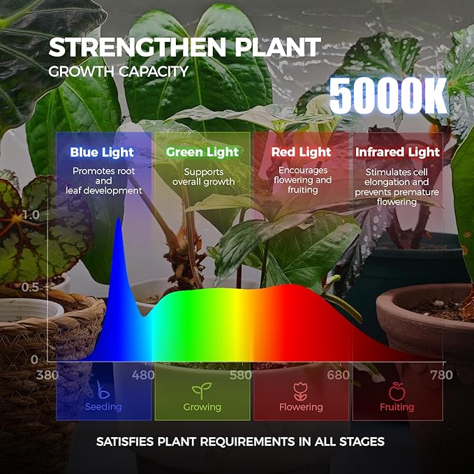 Barrina LP900 Indoor Greenhouse with Grow Light, 5-Tier Plant Stand with Tent, 180W TX-S45 3FT Grow Light 5000K Full Spectrum, Timer & Thermometer for Seed Trays, 35.4 x 13.8 x 70.9IN