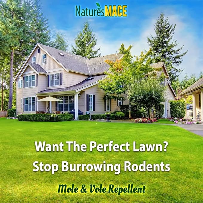 Nature's MACE Mole and Vole Mace, Mole Deterrent for Yard, 1 Gallon, 100% Pure Castor Oil, Lawns, Mole Repellent, Stop Tunneling, Mole Remover Treatment, Castor Oil Repellent, People, Pet, Plant Safe