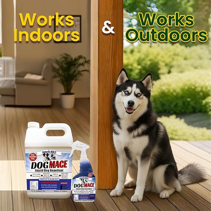 Nature’s MACE Dog Mace, Dog Repellent for Yard, Potty Training Tool Spray, Indoor & Outdoor, Pee Deterrent, Safe Around Kids, Pets, Garden & Plants, 1 Gallon Concentrate, Treats 48,000 Sq. Ft.