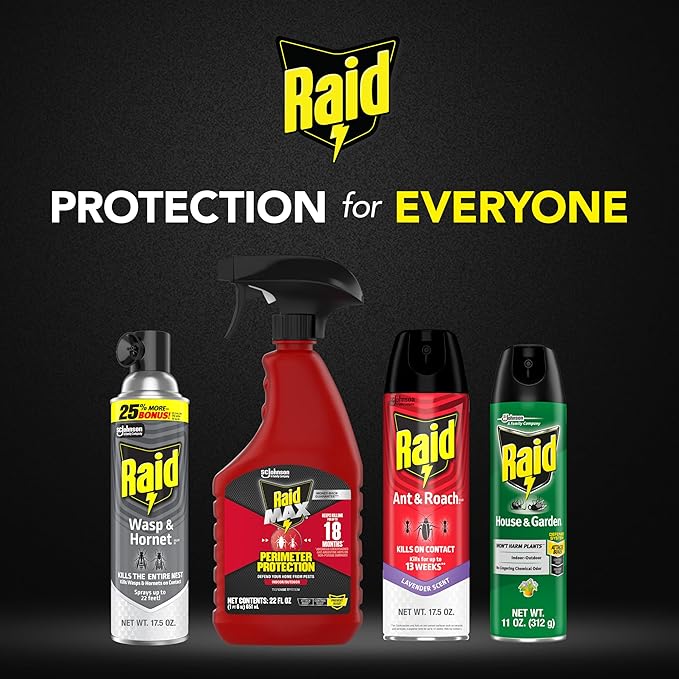 Raid Wasp & Hornet Killer Spray, Bug Killer Kills the Entire Nest, Kills Paper Wasps, Yellow Jackets, Mud Daubers and more, 17.5oz