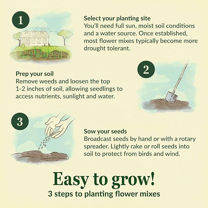 Ferry-Morse Colorscape Mix Bulk Flower Seeds, 1lb