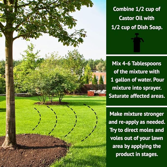 Nature's MACE Mole and Vole Mace, Mole Deterrent for Yard, 1 Gallon, 100% Pure Castor Oil, Lawns, Mole Repellent, Stop Tunneling, Mole Remover Treatment, Castor Oil Repellent, People, Pet, Plant Safe