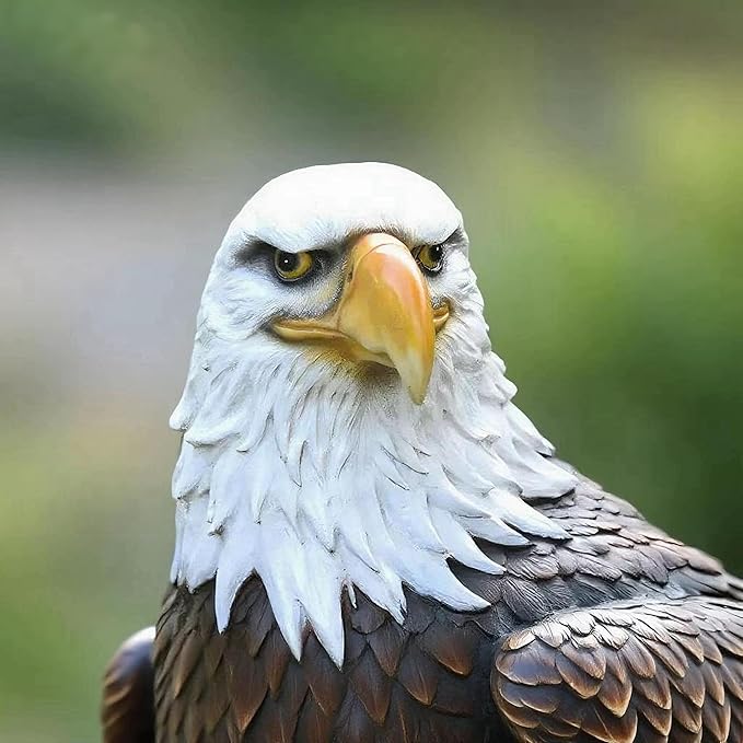JEESGQT H:24.4 inch Bald Eagle Statue Outdoor, Large Realistic Eagle Sculpture for Garden Decor, Hand-Painted Resin Lawn Eagle Statue, Majestic Yard Art and Patio Decoration