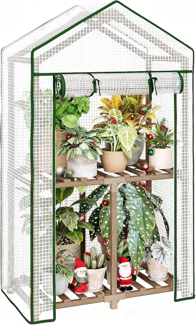 Bamworld Mini Greenhouse Indoor Outdoor 2-Tierd Reusable Portable Warm House with PE Cover Compact Garden and Backyards Portable Rack with Sturdy Eucalyptus Frame Winter-Proof for Plant Protection