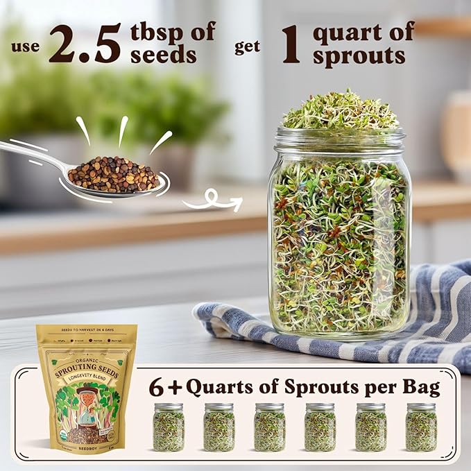 Seedboy Organic Non-GMO Sprouting Seeds, Longevity Blend – USA Grown Microgreens Mix with Broccoli, Red Kale, Black Kale, Alfalfa - 8 oz Bag Makes 6 Quarts / 20 Servings (Longevity Blend)