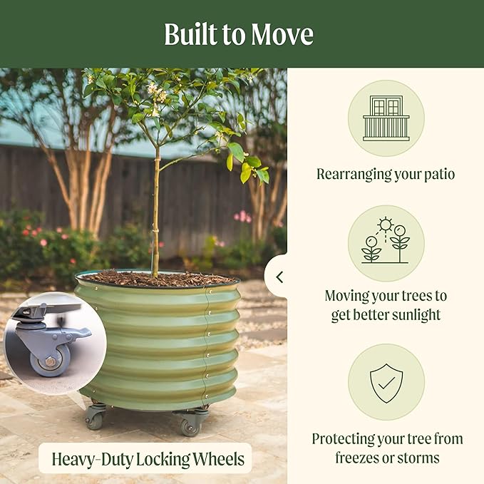Rolling Metal Citrus Tree Planter, Self-Watering Round Planter Box for Porch Patio & Backyard, Raised Garden Bed with Wheels for Growing Trees Tomatoes Vegetables and Flowers, Single Pack-Olive Green