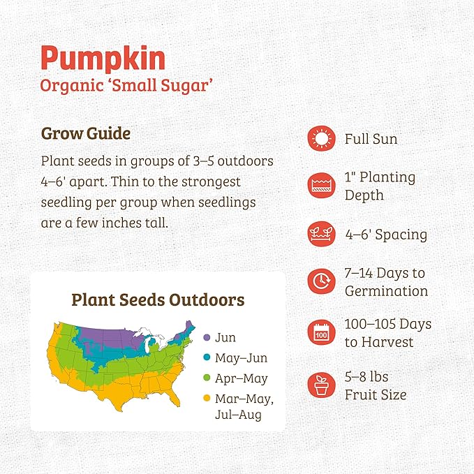 Back to The Roots 100% Organic Heirloom Seeds - New England Pie Pumpkin Value Pack (5g Total)