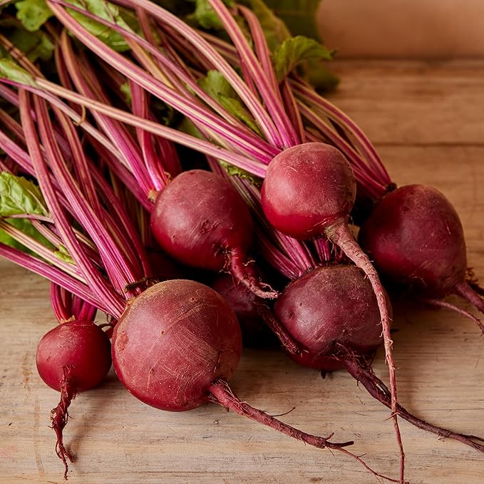 Burpee Detroit Dark Red Beet Seeds - Classic Dual-Purpose Root & Greens