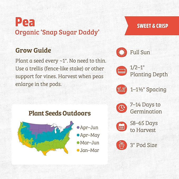 Back to The Roots 100% Organic Heirloom Seeds - Snap Pea Value Pack (16.8g Total)