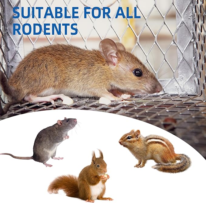 5pack Humane No Kill Rat Trap Cage,Live Rat Traps Catch and Release,Chipmunk Live Trap for Rats,Automatic Continuous Trampas para Ratones,Easy to Set Metal Mice Traps
