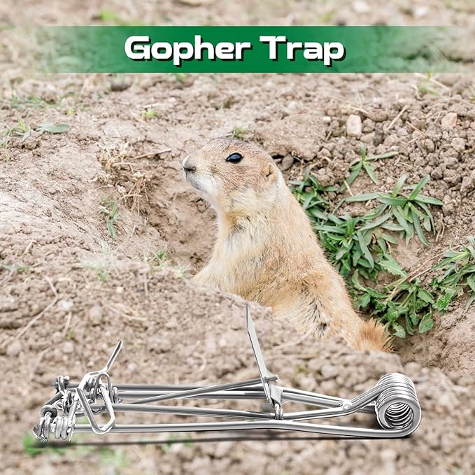 Qualirey 2 Pcs Outdoor Gopher Trap Easy Set Mole Trap Weather Resistant Gopher Killer Vole Killer for Lawn Garden Farm (Silver)