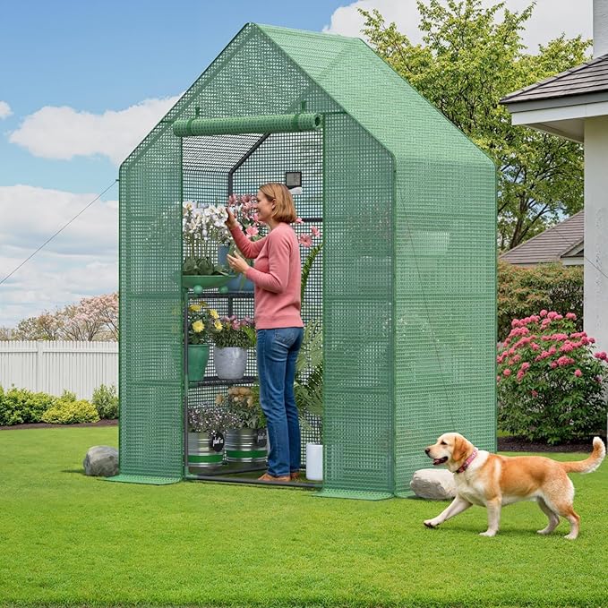 Greenhouse for Outside with Screen Windows, Outdoor Walk in Greenhouses with Durable PE Cover, 57 x 57 x 76'' Small Portable Green House with Shelves Stands,Green