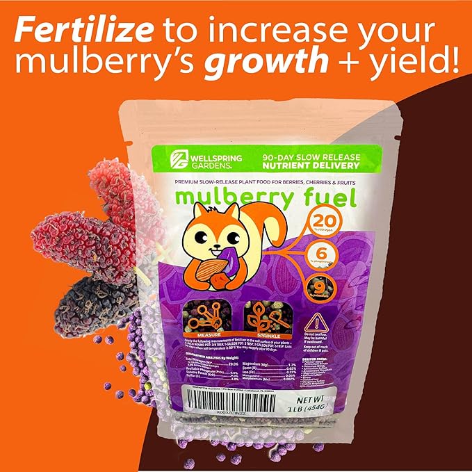 4-Pack of Fruiting Starter Plant Plugs by Foxtown Farms (Dwarf Mulberry (4-Pack))