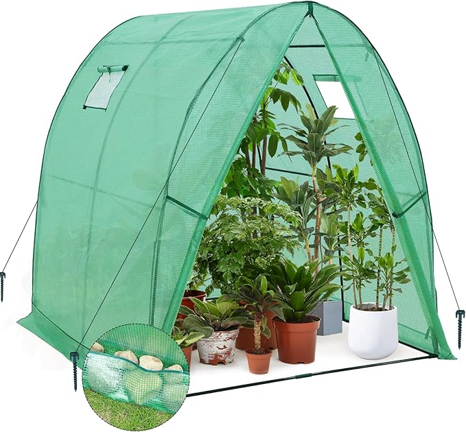 EAGLE PEAK Tunnel Greenhouse Garden Green House with Zippered Door and 2 Roll-up Side Windows, 70.9"x70.9"x78.7", Clear/Green