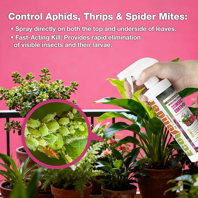 EcoVenger (by EcoRaider) Garden & Plant Insect Control 16 oz, Kills Aphids, Mealybugs, Red Spiders, Armyworms and Gnats All Stages and Eggs, Indoor/Outdoor, Plant-Based, Non-Toxic Child & Pet Safe