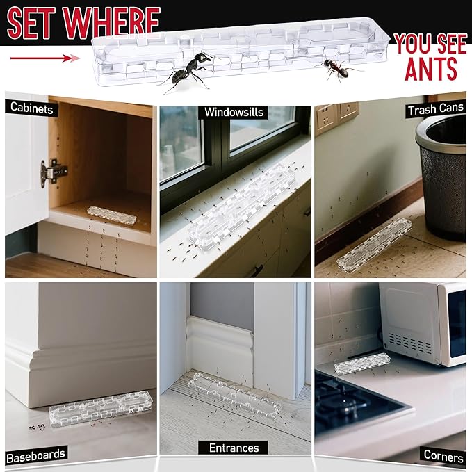 Qualirey 16 Pcs Ant Bait Stations Reusable (Bait NOT Included), Multi Surface Ant Killer Trap for Home, Control for Indoor and Outdoor Use, Roach Station for Common Household (8 Set, Large Size)