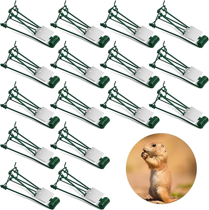 Qualirey 16 Pcs Outdoor Gopher Trap Easy Set Mole Trap Weather Resistant Gopher Killer Vole Killer for Lawn Garden Farm (Green)