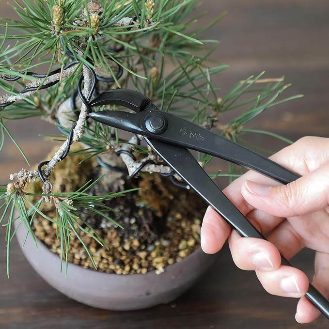 Hand Forged Bent-Tip Bonsai Wire and Jin Pliers 8.66"(220mm)