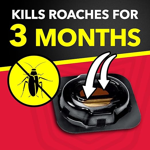 Raid Double Control Large Roach Baits (8 Count (Pack of 1))
