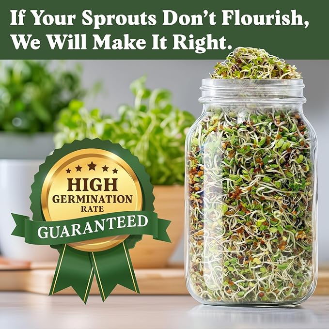 Seedboy Organic Non-GMO Sprouting Seeds, Longevity Blend – USA Grown Microgreens Mix with Broccoli, Red Kale, Black Kale, Alfalfa - 8 oz Bag Makes 6 Quarts / 20 Servings (Longevity Blend)