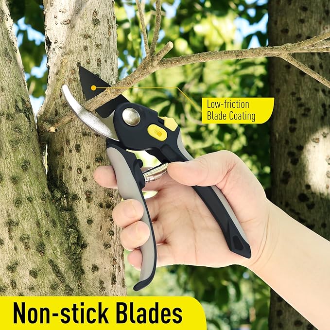 Jardineer Pruning Shears for Gardening, 3Pack Stainless Steel Garden Shears Set include Bypass Hand Pruner, Anvil Pruning Scissor, Pruning Snips for Flowers, Herbs and Small Branches