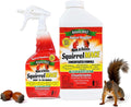Nature's Mace Squirrel Mace, Squirrel Repellent Spray Outdoor, Combo Kit, Squirrel and Chipmunk Repellent, Keep Squirrels Out of Your Garden, Attic, Bird Feeders, Fruit Trees, Plants, Potted Plants