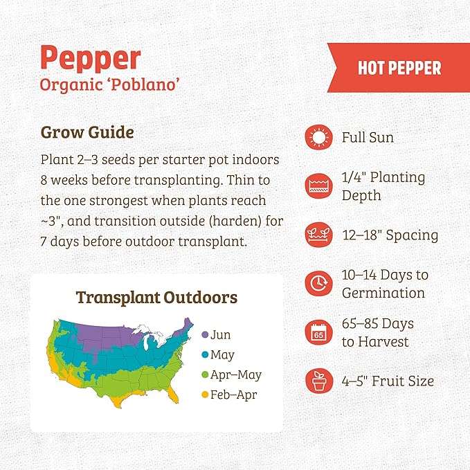 Back to The Roots 100% Organic Heirloom Seeds - Poblano Chili Pepper Value Pack (280mg Total)