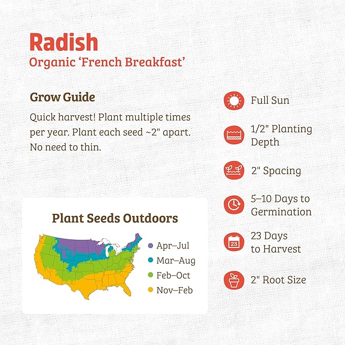 Back to The Roots 100% Organic Heirloom Seeds - Breakfast Radish Seeds for Planting Value Pack (2.8g Total)