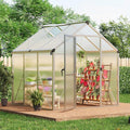 6x6 ft Greenhouse for Outdoors, Polycarbonate Greenhouse with Roof Vent, Ground Nails, Lockable Push Door, Aluminum Large Walk-in Green House for Outside Garden Backyard, Patio, Lawn, Silver