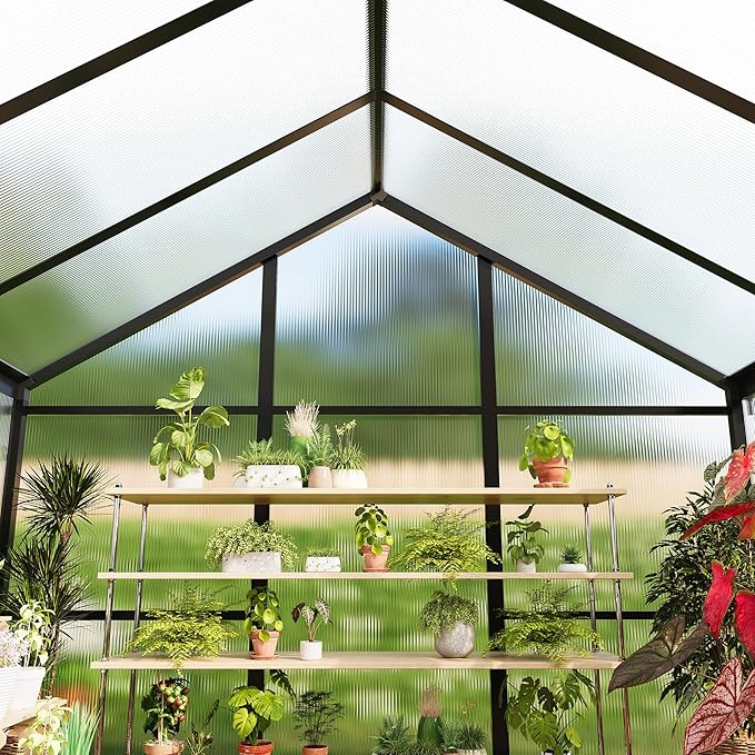 6×10 FT Greenhouse, Large Walk in Greenhouses for Outdoors and Garden Planting, Polycarbonate Greenhouse with Enhanced Aluminum Frame, Green Houses with Quick Setup Structure and Roof Vent, Black