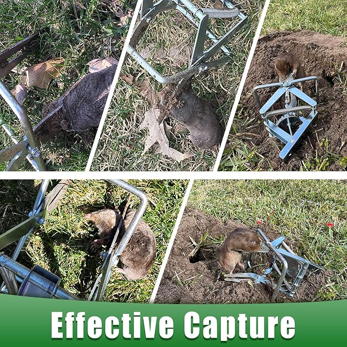 2 Pack Mole Traps That Kill Best, Vole Traps Outdoor Use Scissor for Lawns, Mole Trap Easy to Set Galvanized Steel Reusable Quick Capture Gopher