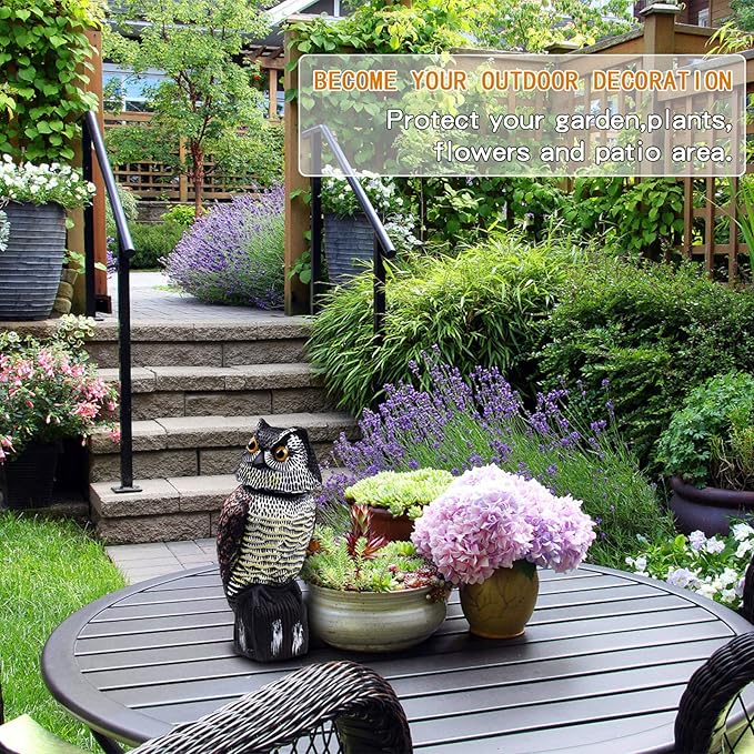 Hedoc Fake Owl Decoys to Scare Birds Away, Rotating Head Sculptures, Nature Enemy Scarecrow Plastic Statues, Pest Repellent, Bird Control and Pigeon Deterrent Outdoor Yard, Garden Protectors