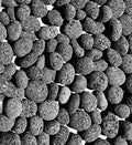 Black Lava Rocks for Fire Pit - 2 to 3 inch - 10 lbs - Gas Fireplace Rocks - Decorative Lava Stone for Indoor & Outdoor Gas Fireplace