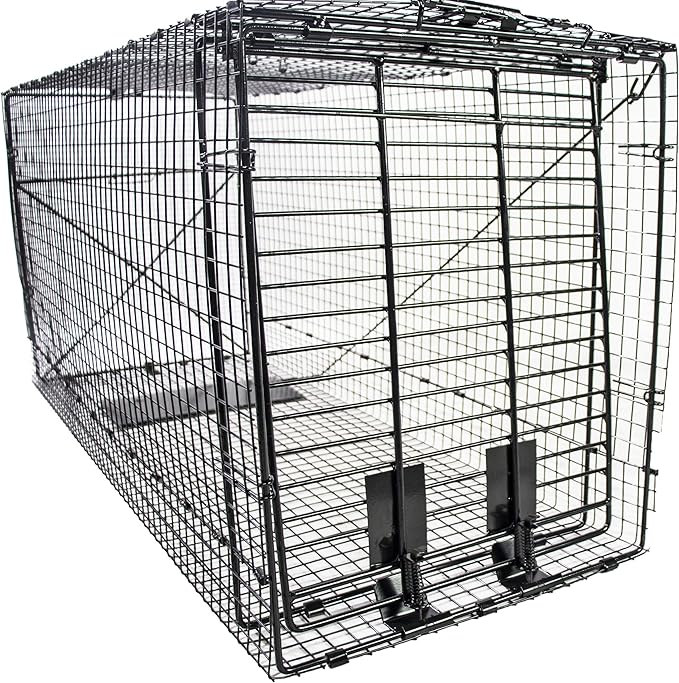 Humane Way Folding 50 Inch Live Humane Animal Trap - Safe Traps for All Animals - Dogs, Raccoons, Cats, Groundhogs, Opossums, Coyote, Bobcat - 50"x20"x26"
