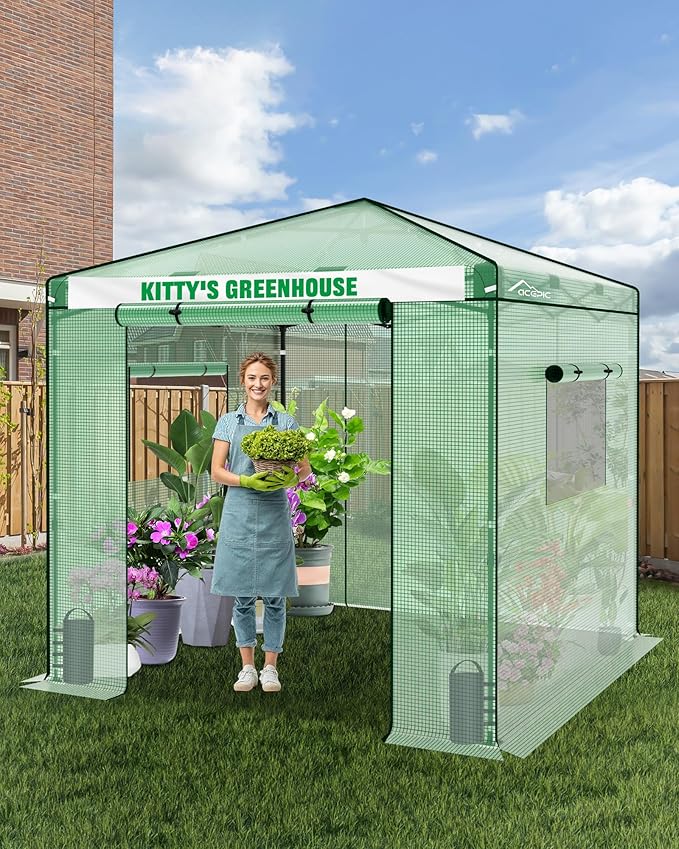 8x8 Instant Pop up Greenhouses, Indoor Outdoor Portable Greenhouse Walk-in for All Season, Small Green House with Roll-Up Zipper Doors and Side Windows, 4 Sandbags, Pe Cover, Green/Clear