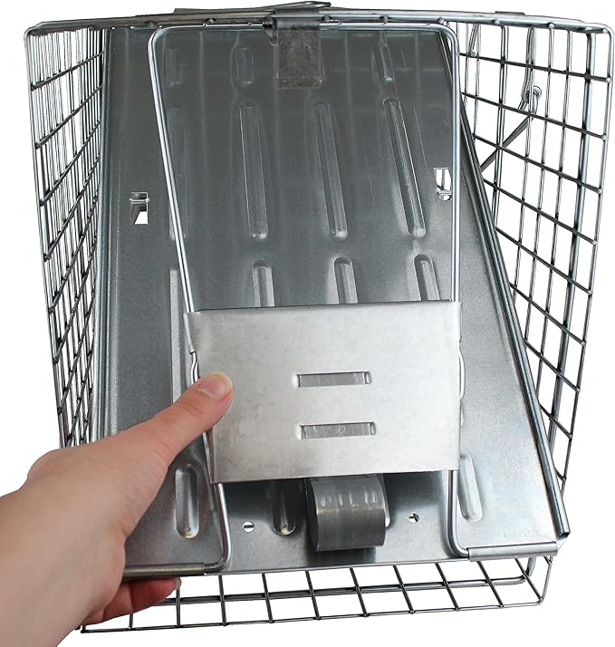 HAVAHART 1079SR Large 1-Door Humane Catch and Release Live Animal Trap Cage - Live Raccoon Trap, for Bobcats, Beavers, Dogs, & More
