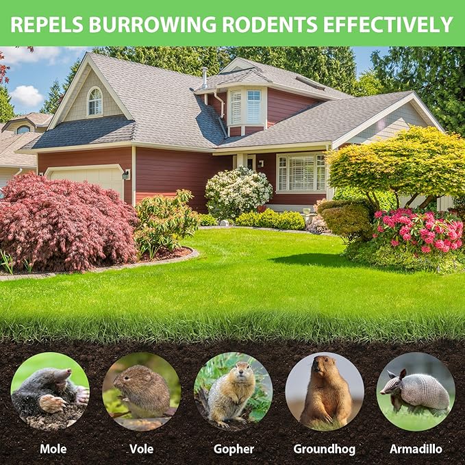 MAGIC CAT® Mole Repellent Outdoor Gopher Repellent, Natural Castor Oil Vole Repellant Outdoor Pet Plant Safe, Groundhog Repellent Mole Deterrent to Keep Vole Groundhog Out of Lawn Yard Garden-10P