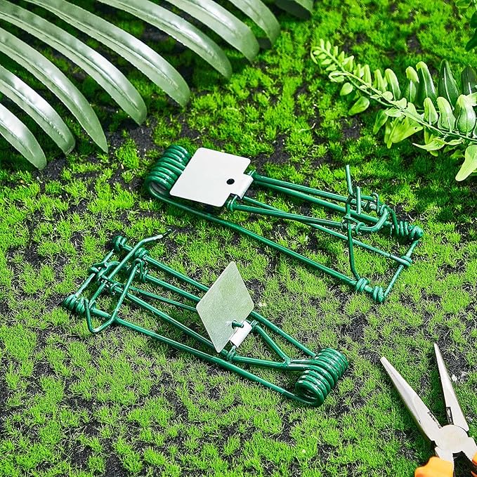 Qualirey 2 Pcs Outdoor Gopher Trap Easy Set Mole Trap Weather Resistant Gopher Killer Vole Killer for Lawn Garden Farm (Green)
