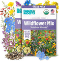 Back to The Roots 100% Organic Heirloom Seeds - Wildflower Mix Value Pack (500mg Total)